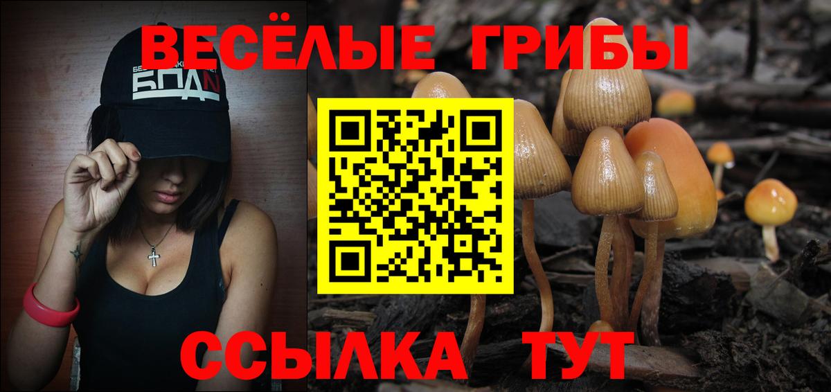 Псилоцибиновые грибы прущие грибы Сертолово